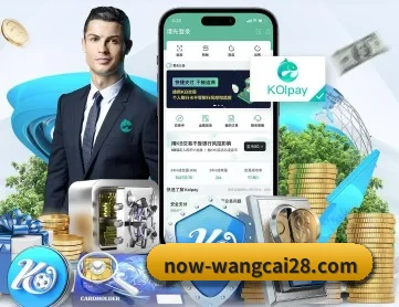 旺财28 APP 深度功能